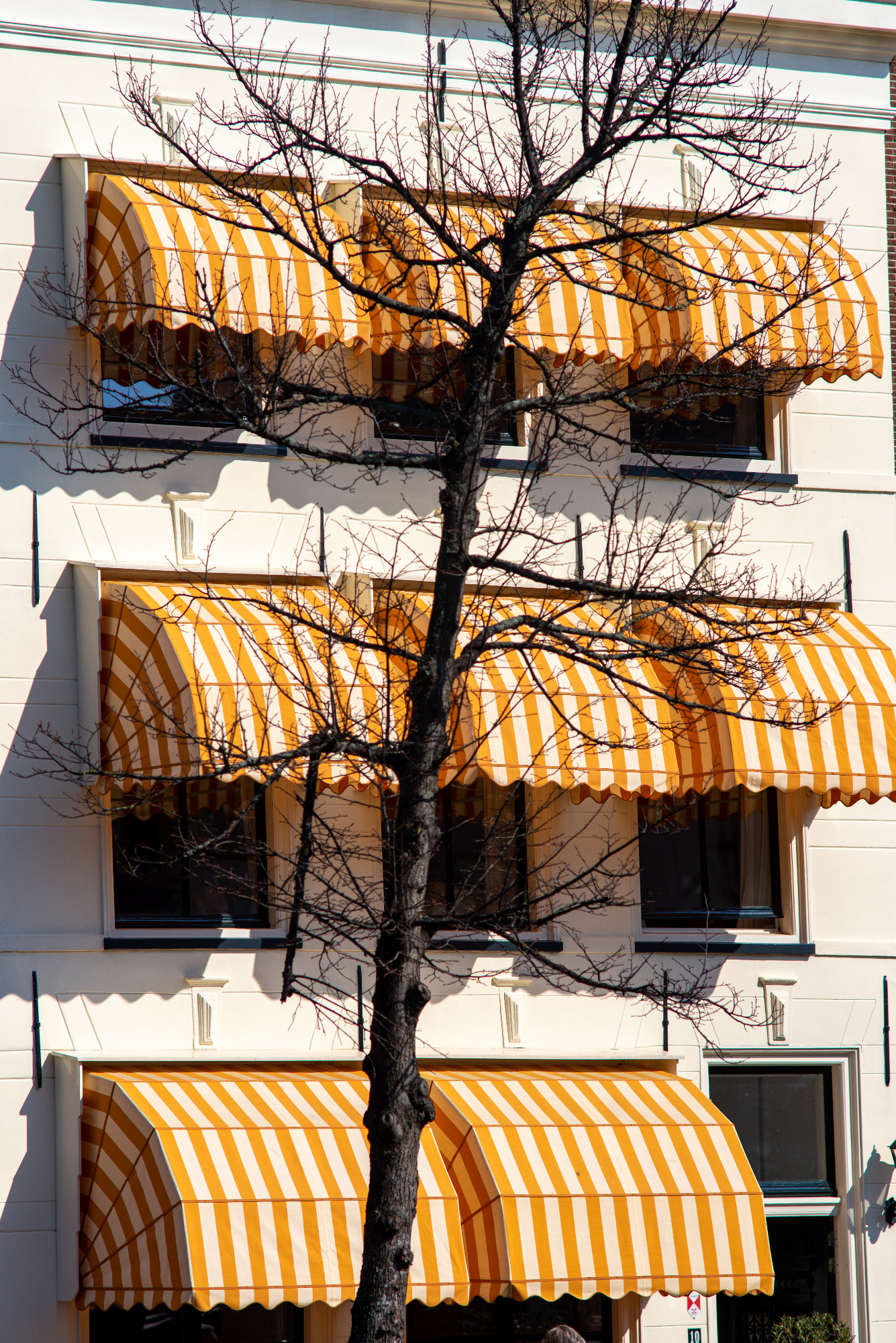 Come creare un ambiente fresco e accogliente con tende da sole Trieste